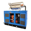 25kw Cummins Silent Biogas Generator Set