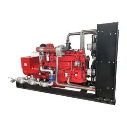 Cummins 300kw Biogas Generator Set Open-frame Electronic Fan
