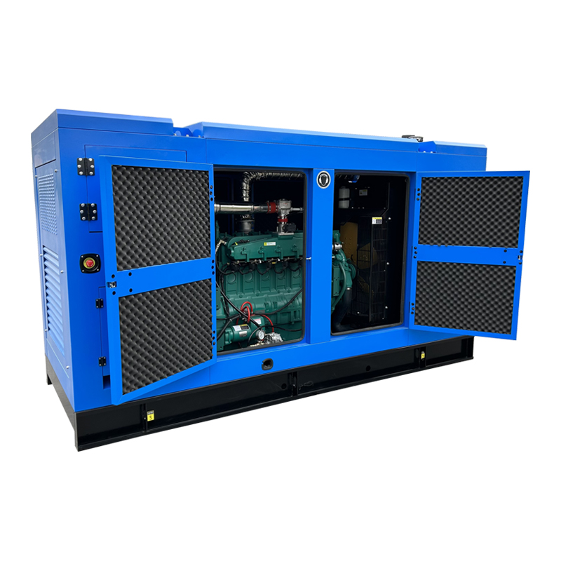 Lpg Generator