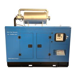 25kw Cummins Silent Biogas Generator Set