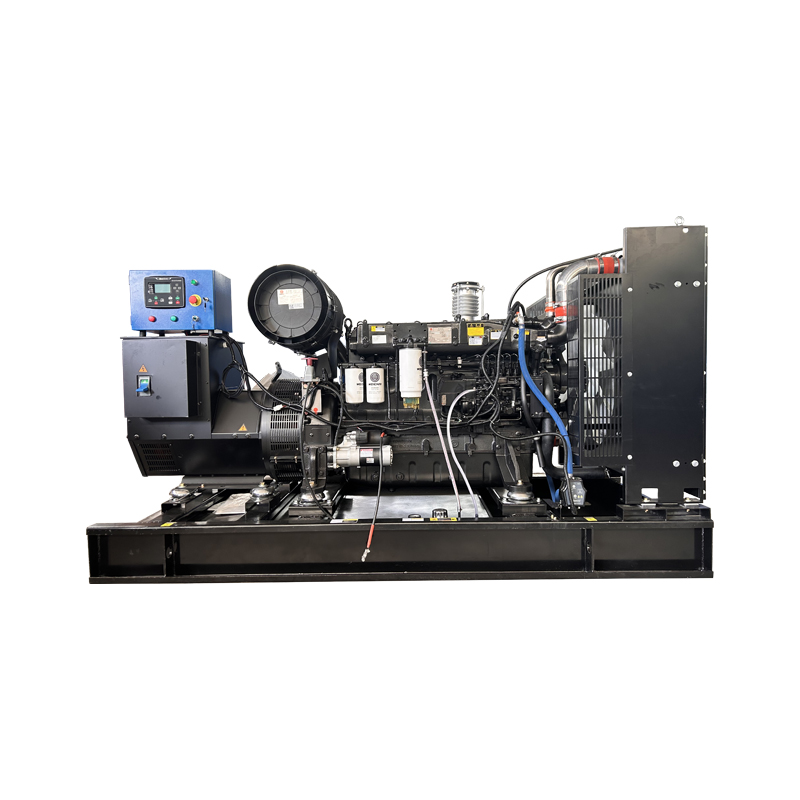 250kw Diesel Generator