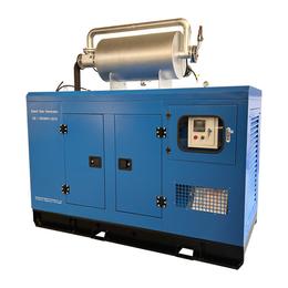 25kw Cummins Silent Biogas Generator Set