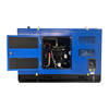 Diesel Generator