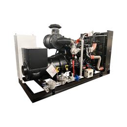 250kw Frame Circuit Breaker Mechanical Water Tank for Liquefied Gas Generator Set