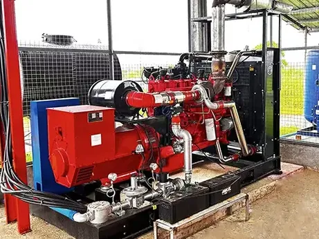 Welcome to our company !