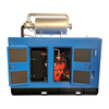 25kw Cummins Silent Biogas Generator Set