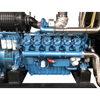 1000kw Diesel Generator